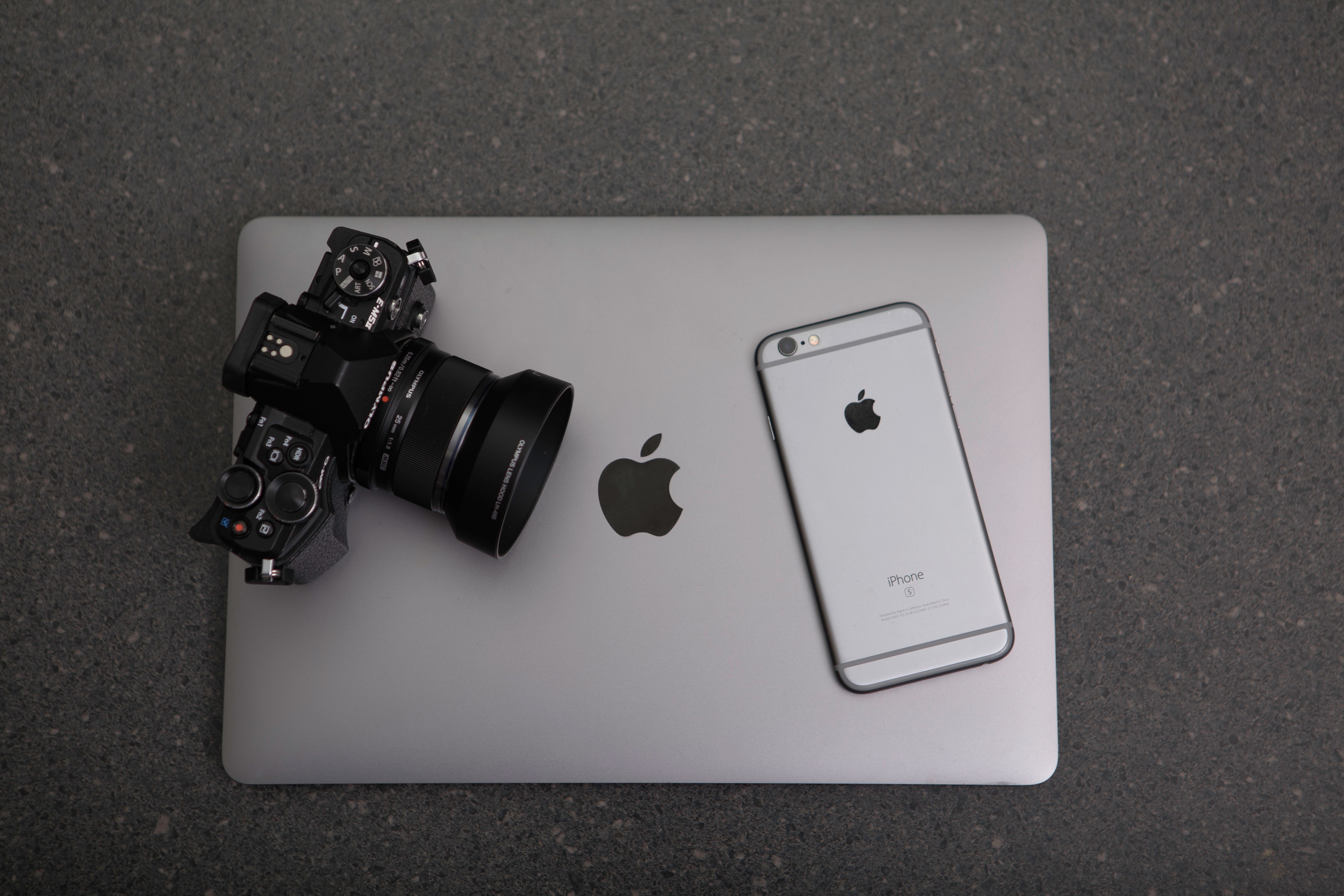 apple-black-and-white-business